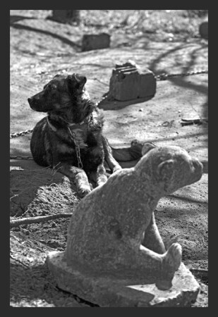 Смотреть в оба!