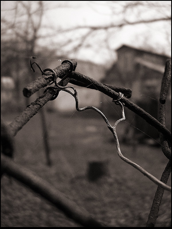 twisted