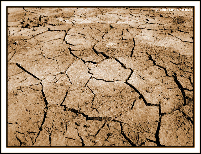 Dead Earth