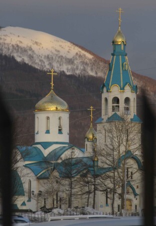 Без названия