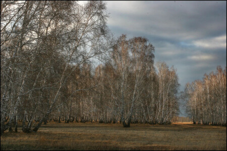 Весна, как осень