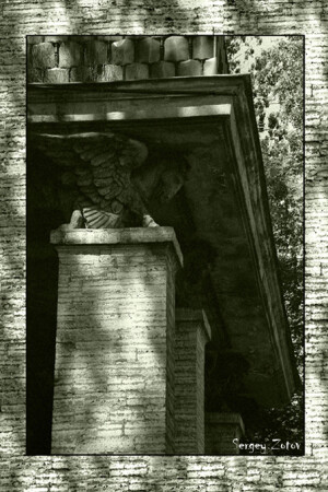 Забытые звери