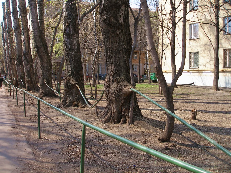 Забор - переросток.