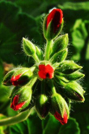 осталось совсем немного....