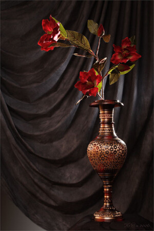 Цветы напросвет