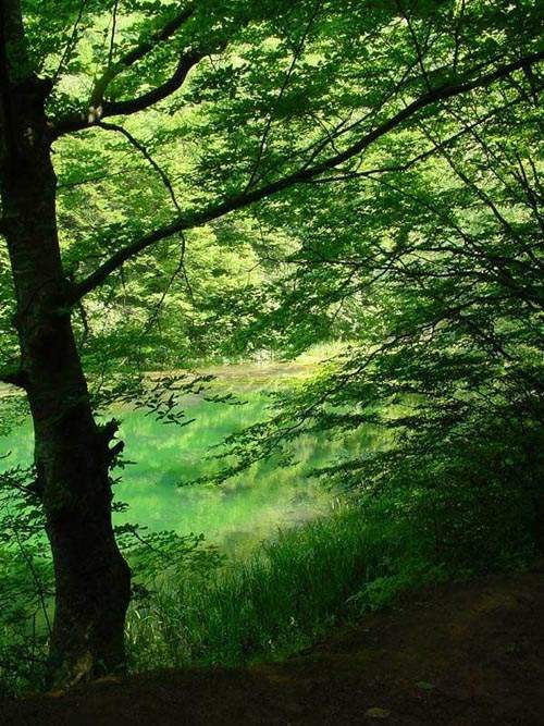 jezero grza 