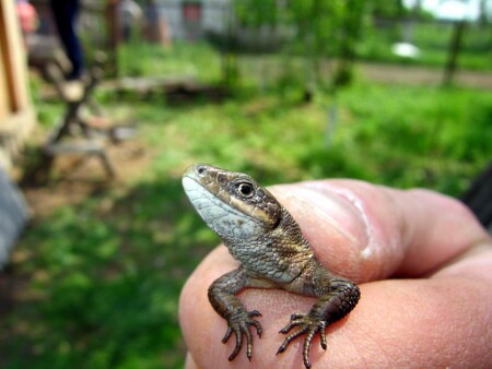 Смотри мне в глаза