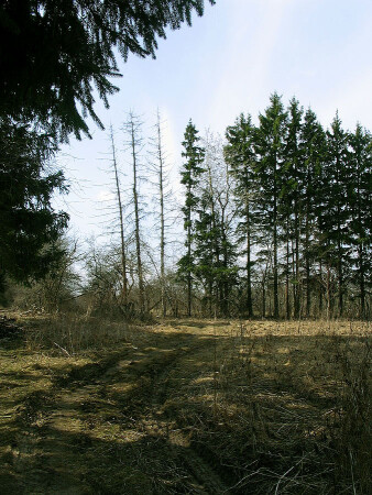 Dead end