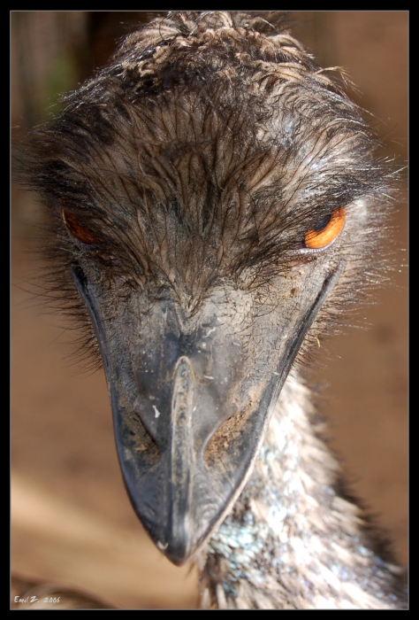 Are you talking to me ? Punk !!!