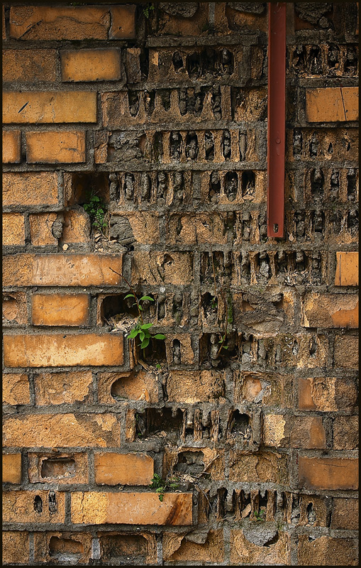 The Spring Wall
