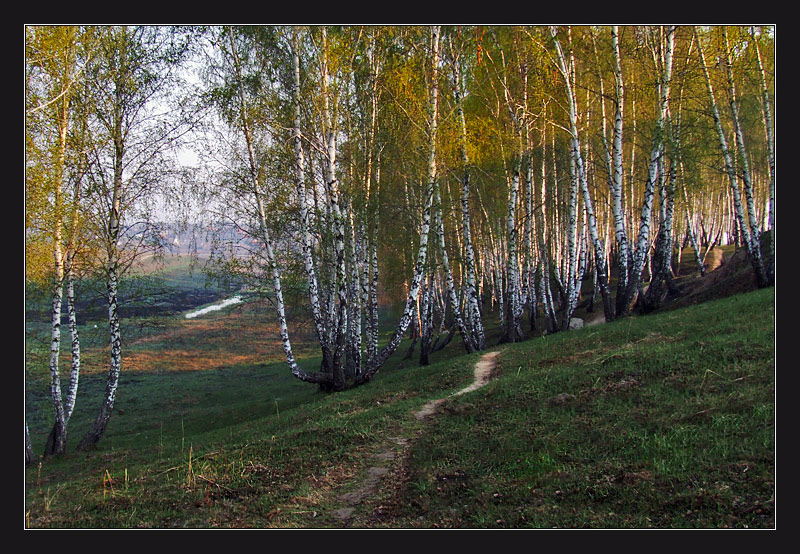 Весеннее утро