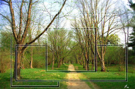 Ботанический сад