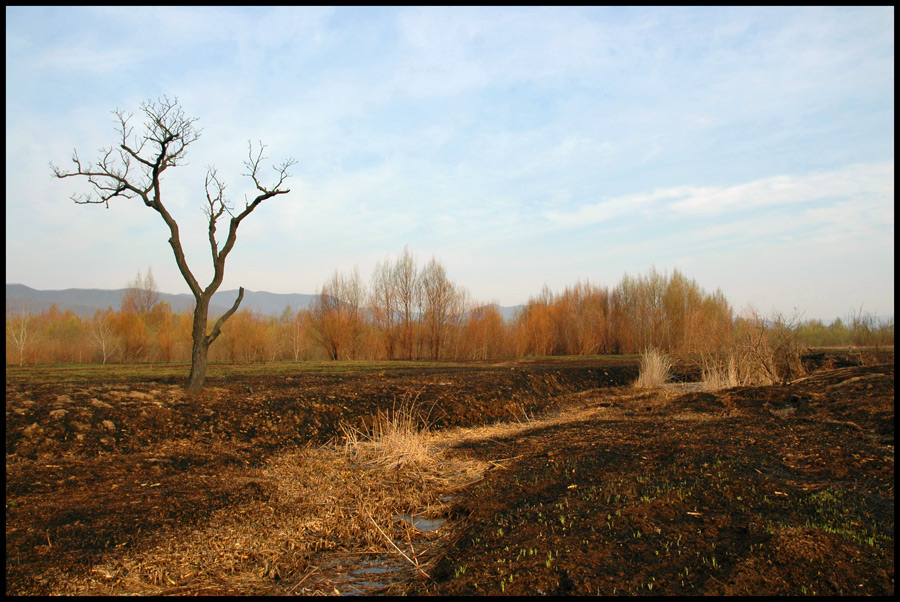 весна 2006