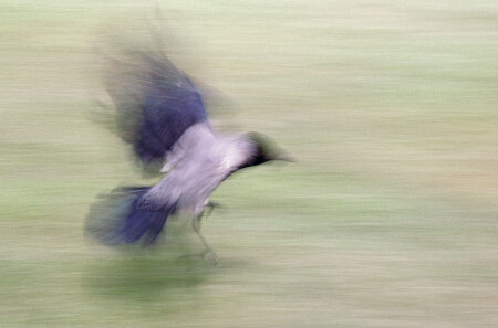 Первая космическая...)