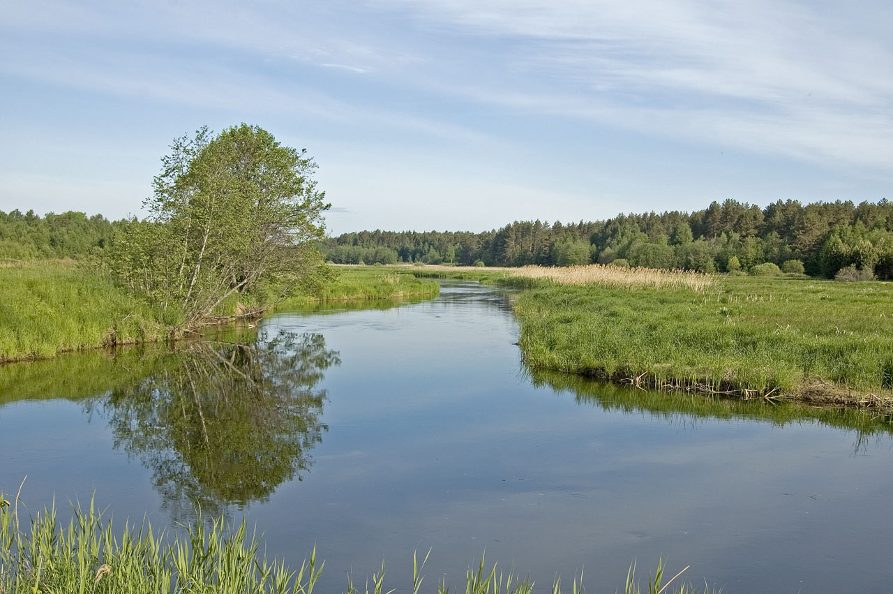 Река Нерль
