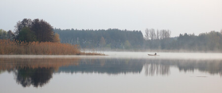 Утро браконьера.