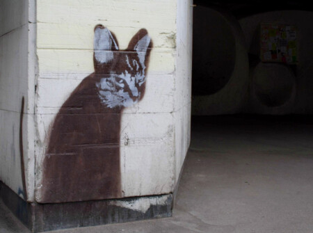 Кошка, которая сама по себе живет на стене...