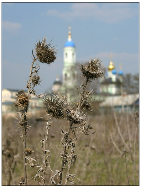 фотограф