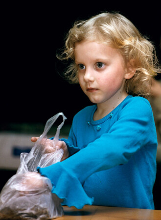 Сорока воровка