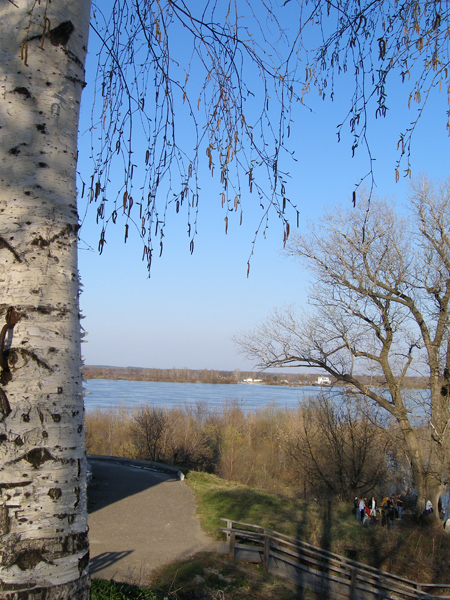 весна