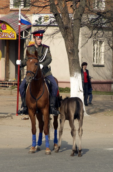 Подкрепимся перед парадом