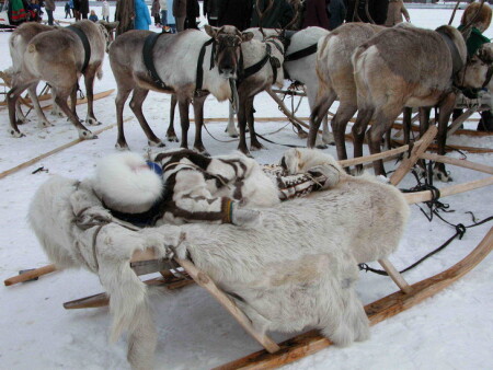 &amp;quot;Дитя природы&amp;quot;