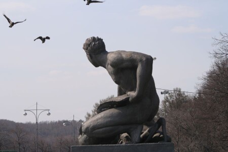 Наблюдая за птицами