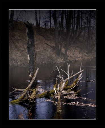 Черная вода 2