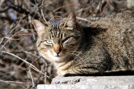 [тоска бездомия]. Разворачивайте для того, что бы понять название:)