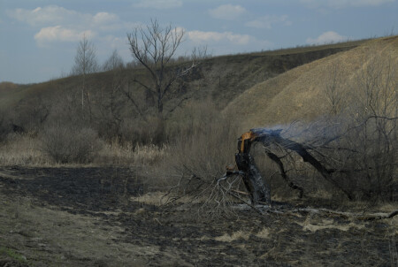 Вечный покой (2)