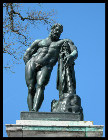 Красота и сила...