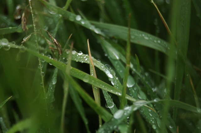 after rain