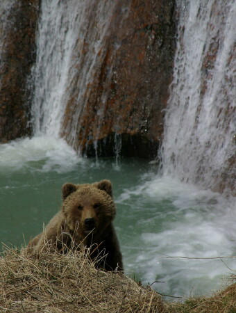 На фоне водопада