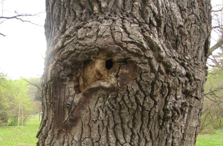 Ну, что смотришь?