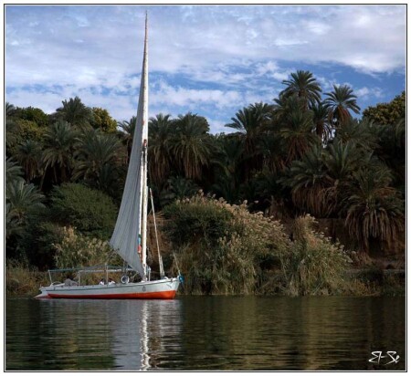 Нильская регата