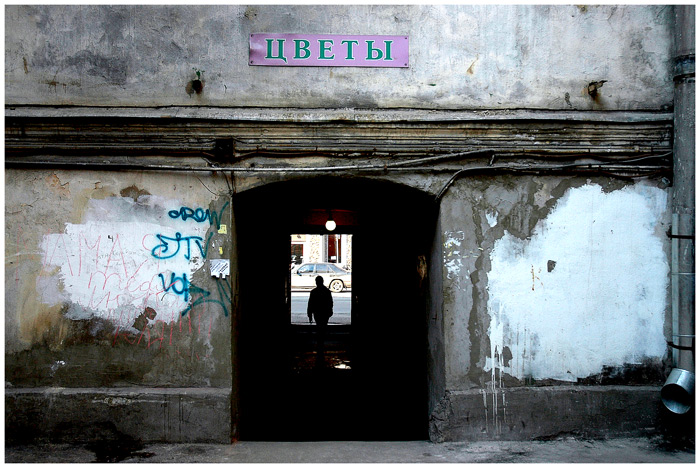 цветы