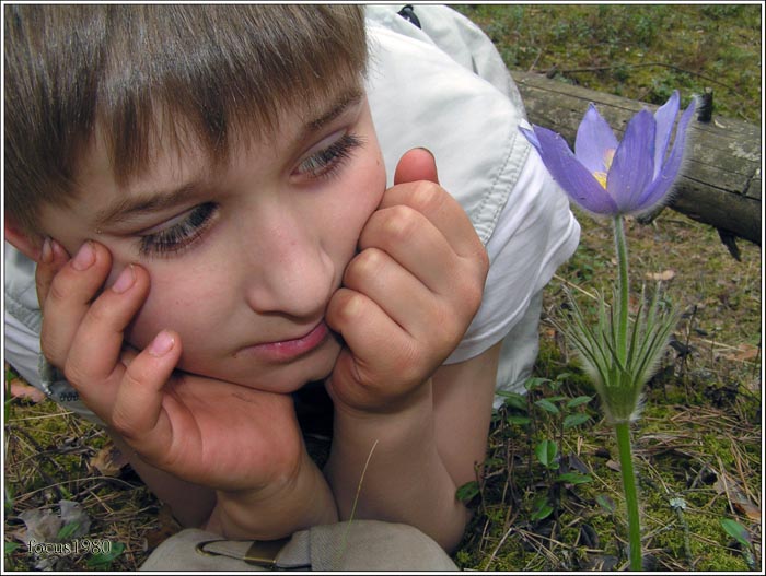 Цветы