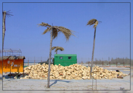 ... среди пальм...