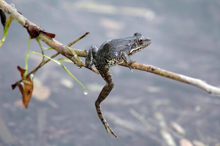 Я самый интересый персонаж на озере!