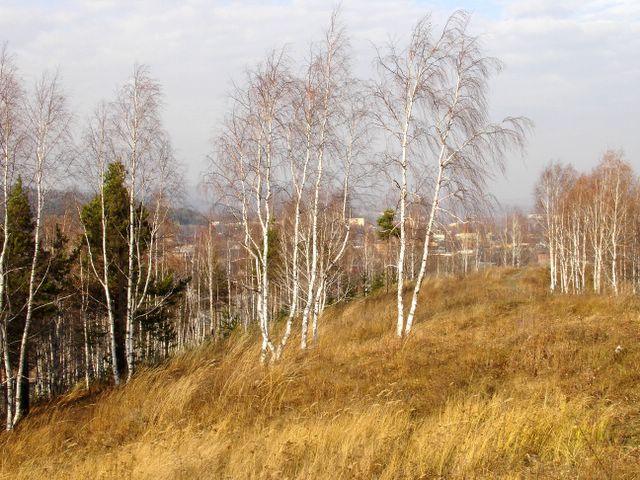 Левитан