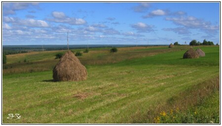 Костромская пастораль