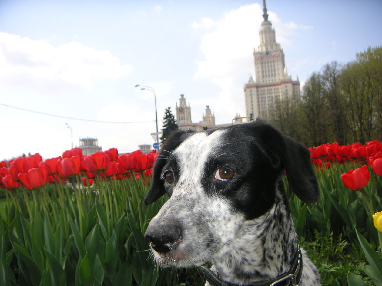 портрЭт :)