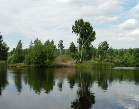 Тёмные воды