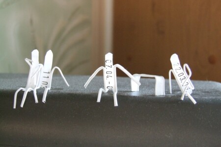 Жизнь в любом виде