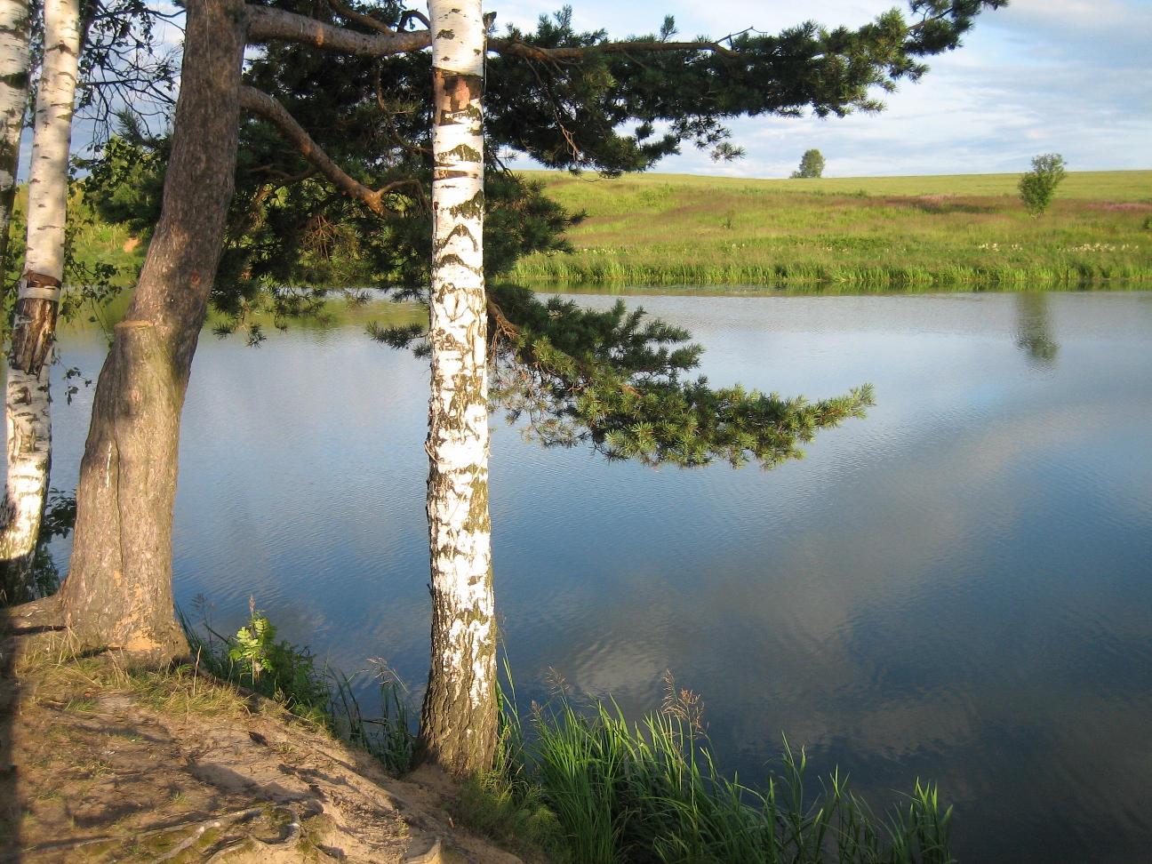 У воды