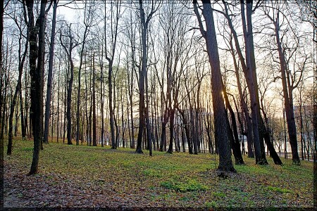 В Нескучном вечер