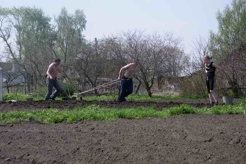Дедовским способом