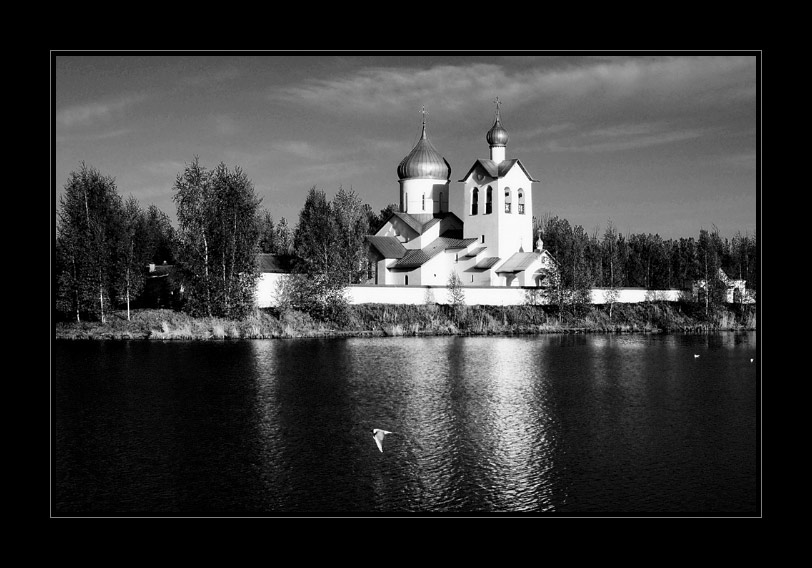 про летая