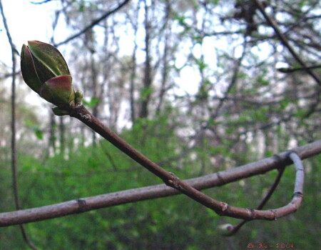 Иду на взлет