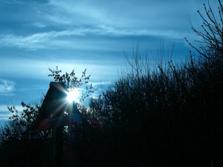 Тени забытых предков